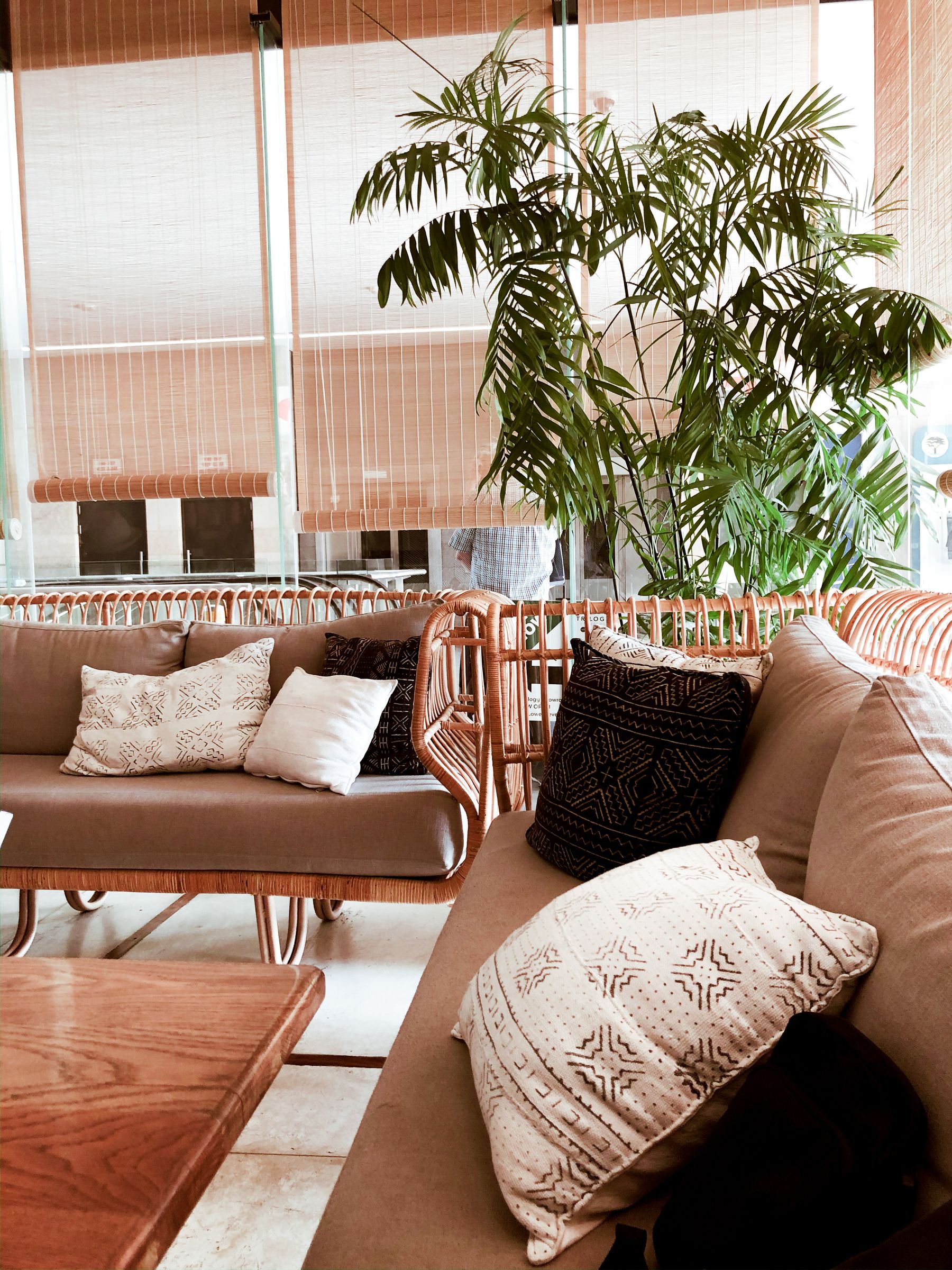 Woonkamer met planten, rotan en zachte kussens