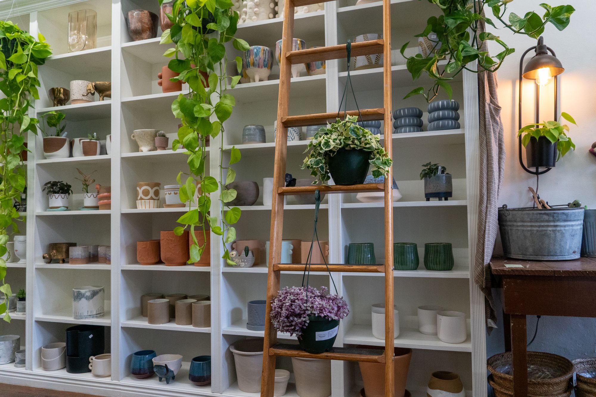 Keramiek en planten in een woonwinkel